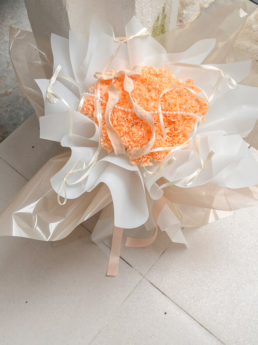 Lumière Éternelle (Carnation)